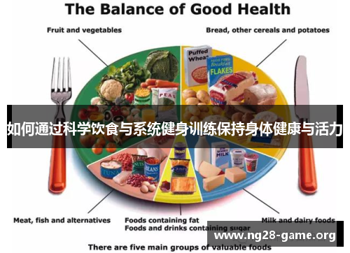 如何通过科学饮食与系统健身训练保持身体健康与活力